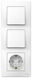 Systeme Electric: BLNBS101101