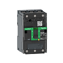 Schneider Electric: C113100BS