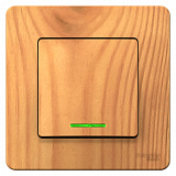 Systeme Electric: BLNVS010115