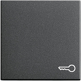 Клавиша (антрацит) System 55 Gira. Вид 1