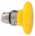 Schneider Electric: ZB4BR5
