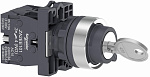 Schneider Electric: XA2EG33