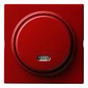 GIRA: G015343