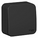 Systeme Electric: BLNVA106016