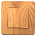 Systeme Electric: BLNVS010105