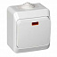 Выключатель 1-клавишный, О/У, с подсветкой, IP44 (белый) Этюд Systeme Electric. Вид 1.