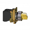 Schneider Electric: XB4BK125G5