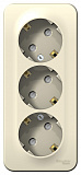 Systeme Electric: BLNRA011312