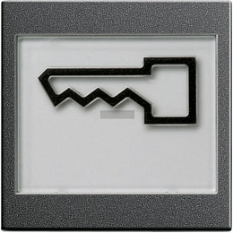 Клавиша (антрацит) System 55 Gira. Вид 1