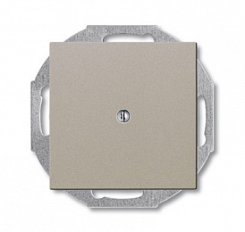 2538-93-507 Заглушка с суппортом, серия Basic 55, цвет шампань ABB. Вид 1