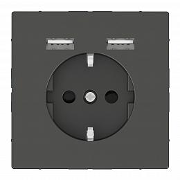 Розетка SCHUKO с 2 USB c зарядным устройством 2,4A (антрацит) Merten D-Life Schneider Electric. Вид 1