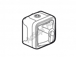 Выключатель с ключом (серый) IP55 Plexo Legrand. Вид 1