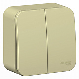 Systeme Electric: BLNVA105017