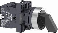 Schneider Electric: XA2EJ33