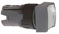 Schneider Electric: ZB6CF1