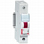 Индикатор оранжевый 250В Legrand. Вид 1.