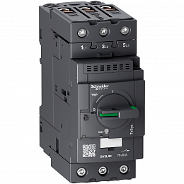 автоматический выключатель с магнитным расцепителем 80а зажим everlink Schneider Electric. Вид 1