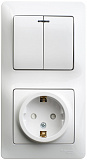 Systeme Electric: GSL000175