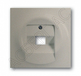 Накладка для 1-ой телеф. и комп. розетки (для мех-в0213,0216) impuls шампань-металл  ABB. Вид 1