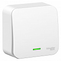 Systeme Electric: BLNVA101111