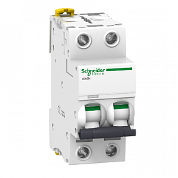 iC60N 2P 25А Автоматический выключатель 2-полюсный, 25А, 6кА (хар-ка C) Schneider Electric. Вид 1