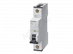 Siemens: 5SY41167