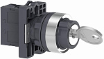 Schneider Electric: XA2EG21