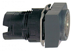Schneider Electric: ZB6DGC