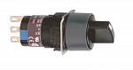Schneider Electric: XB6EAD232P