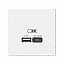 Розетка USB, A + тип-C 45Вт высокоскор.заряд. QC, PD, механизм (лотос) ARTGALLERY Systeme Electric. Вид 1.