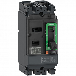 NSX100F 2P TMD 40 Автоматический выключатель 2-полюсный, 40А,18kA Schneider Electric. Вид 1