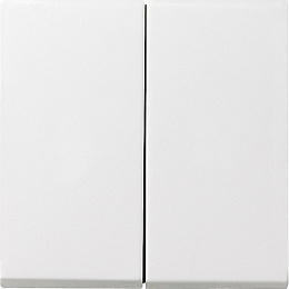 Клавиша двойная с комплектом уплотнителей IP44 (белый матовый) System 55 Gira. Вид 1