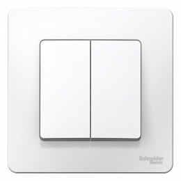 Выключатель 2-клавишный, С/У, 10А, 250B (белый) Blanca Systeme Electric. Вид 1