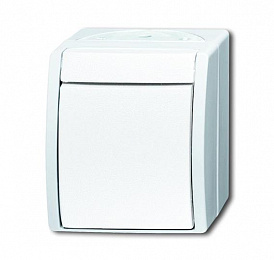 2621 W-54 Кнопка 1-клавишная, 1-полюсная, с N-клеммой, IP44, для открытого монтажа, серия ocean, цвет белый ABB. Вид 1