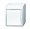 2621 W-54 Кнопка 1-клавишная, 1-полюсная, с N-клеммой, IP44, для открытого монтажа, серия ocean, цвет белый ABB. Вид 1.