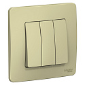 Systeme Electric: BLNVS100507