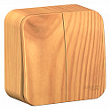 Systeme Electric: BLNVA105015