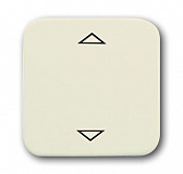 ABB: 2CKA006430A0313