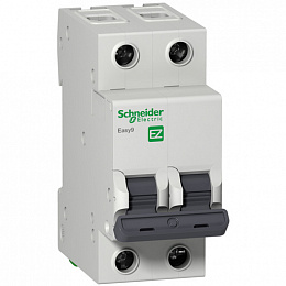 Автоматический выключатель 2-полюсный, 25А, 6kА (хар-ка C) EASY 9 Schneider Electric. Вид 1