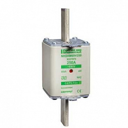 Предохранитель Schneider Electric. Вид 1