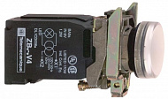 Schneider Electric: XB4BV5B1