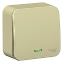 Systeme Electric: BLNVA101117
