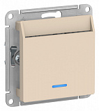 Systeme Electric: ATN000267