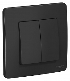 Выключатель 2-клавишный, С/У, (cх.5), 10а, 250b (антрацит) Blanca Systeme Electric. Вид 1