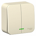 Systeme Electric: BLNVA065112