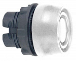 Schneider Electric: ZB5AP1S
