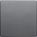 Berker: B16206084
