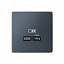 Розетка USB, тип-С 65Вт высокоскор.заряд. QC, PD, механизм (грифель) ARTGALLERY Systeme Electric. Вид 1.