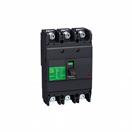 Термо-магнит. 3х-полюс. автомат 175А 36kA, подключ. под шину Schneider Electric. Вид 1