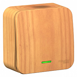 Выключатель 1-клавишный, О/У, (cх.1) с подсв., 10а, 250b (ясень) Blanca Systeme Electric. Вид 1